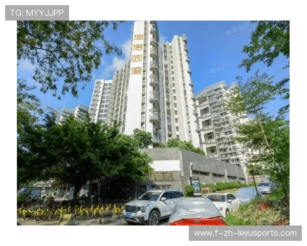 冲浪学校带动海滨小镇经济发展,被评为地方样板 冲浪学校带动海滨小镇经济发展,被评为地方样板