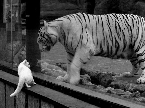 青训学院增设文化课程强化学生综合素养建设