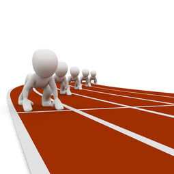 LEYU乐鱼体育官方网站-体育新闻中心构建全民运动传播大格局，体育运动 新闻