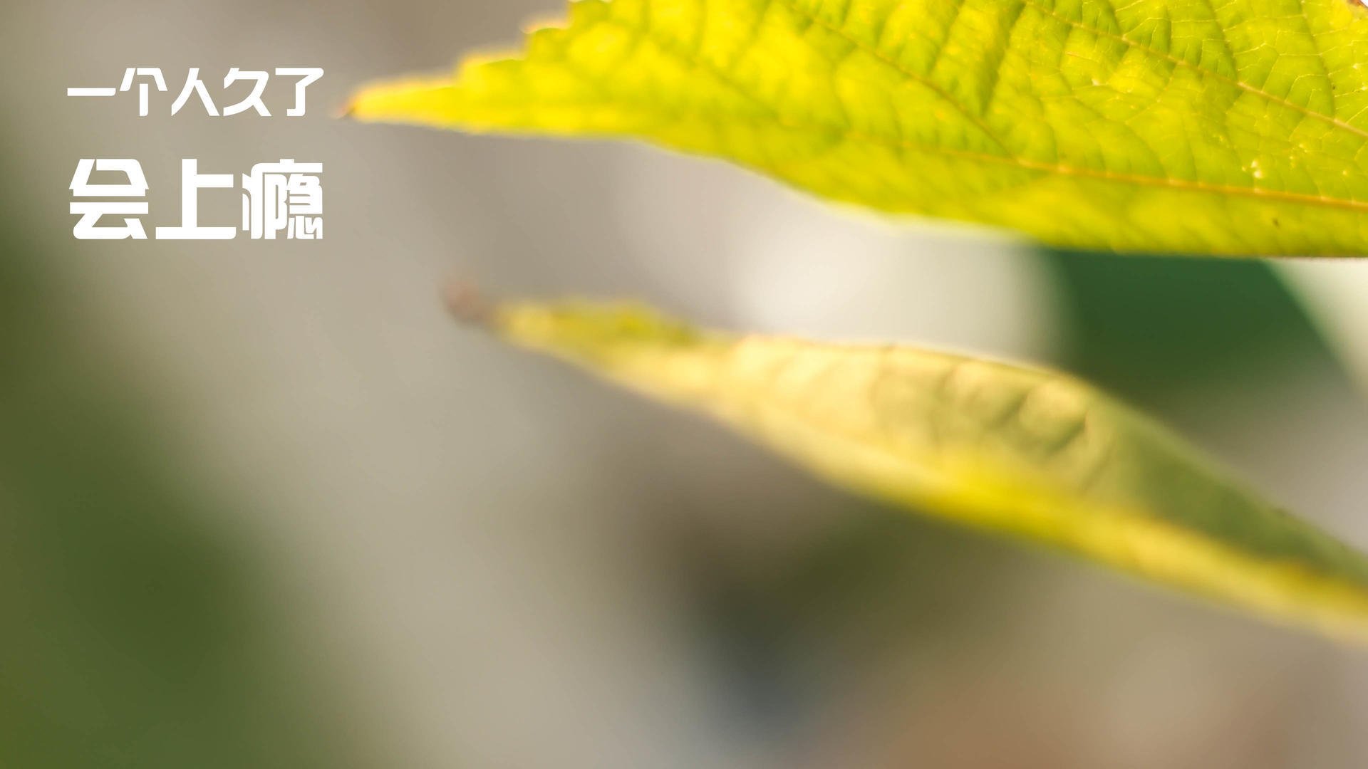 乐鱼体育-决胜时刻逆转胜利，凡尘组合晋级下轮对阵日本王牌，凡尘组合 决赛