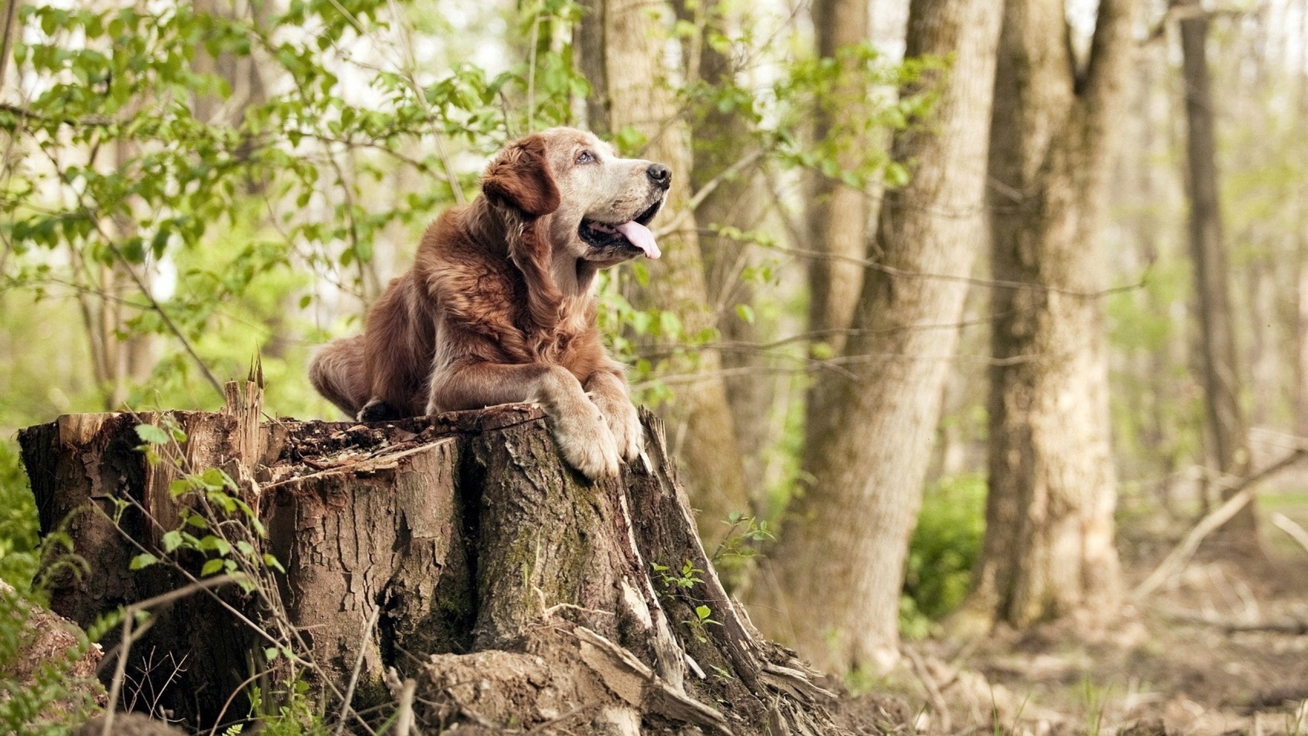 加强对低龄体育参与内容的媒体关注，加强对低龄体育参与内容的媒体关注和建议