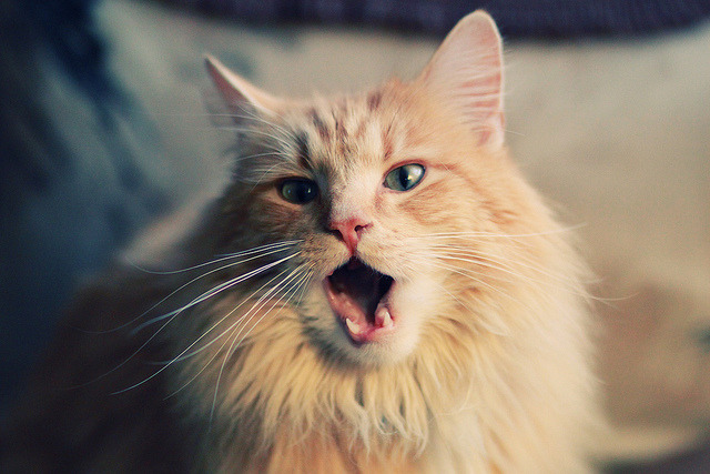 合影氛围感拉满,萨巴伦卡这身造型赢麻了!,萨巴伦卡身高体重